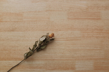 Closeup shot of a single delicate dried rose flower on a wooden table