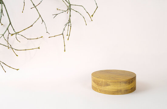 Background with wooden geometric shape podium and branches. Wooden round cylinder shape form for eco product. Empty showcase in minimal style. Abstract pastel mock up for cosmetic.