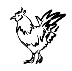 Chicken icon logo in vector isolated on white background. Chicken illustration