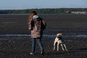 person walking dog