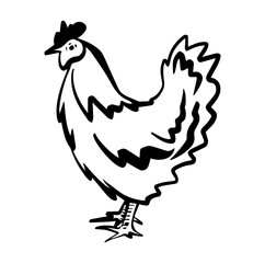 Chicken icon logo in vector isolated on white background. Chicken illustration in retro style