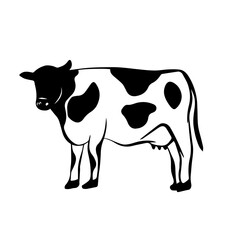 Cow icon logo hand drawn in vector style on white background. Cow illustration in old style