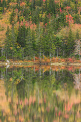 Canada, Nova Scotia, Cabot Trail. Neils Harbour, Cape Breton Highlands National Park autumn foliage and reflection.