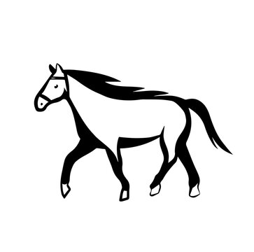 Horse icon logo in vector isolated on white background. Horse illustration in hand drawn old retro style