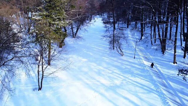 Aerial view of a drone flying over the winter park.