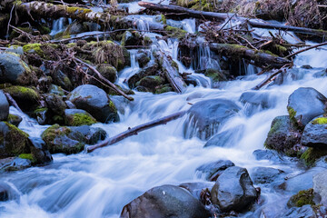 stream in the forest