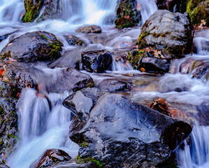 waterfall in the forest