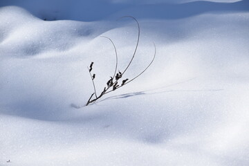 Winterscape