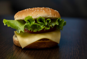 Burger and fries on a plate. Home-made fast food.