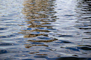 water reflection