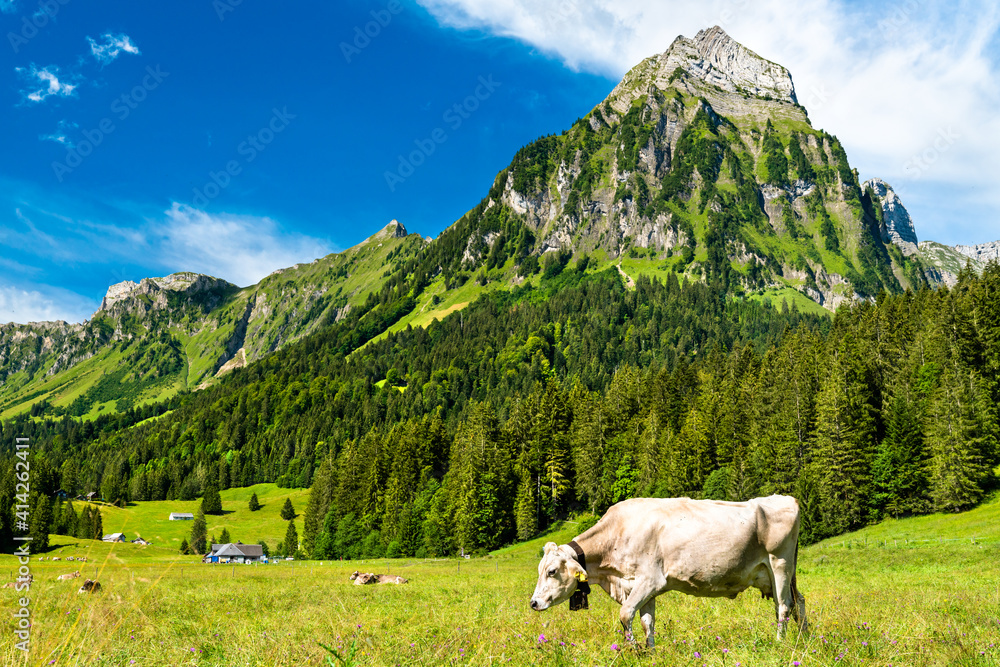 Poster Cow at Oberseetal in the Swiss Alps