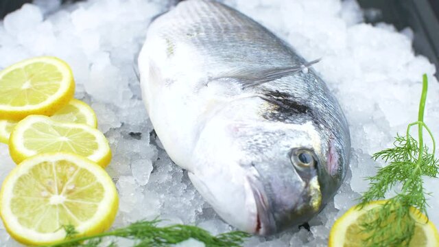 fresh sea bream on ice with lemon slice