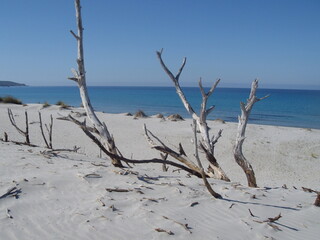 Spiaggia Italiana