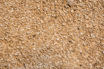 stone background for sites and substrates