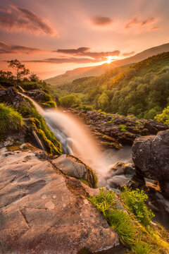 Loup of Fintry