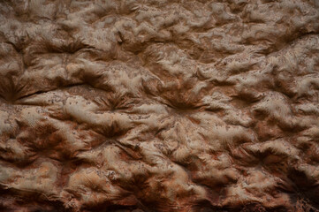 stone background for sites and substrates