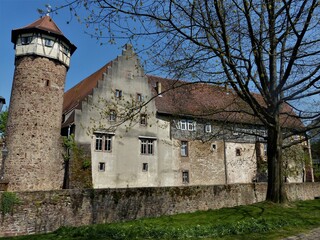 Fototapeta premium Burg / Alte Kellerei mit Diebsturm und Landschaften in Michelstadt / Odenwald