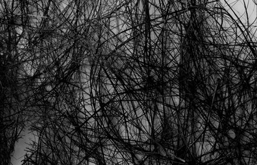 Abstract texture from tangled threads. Black and white background.