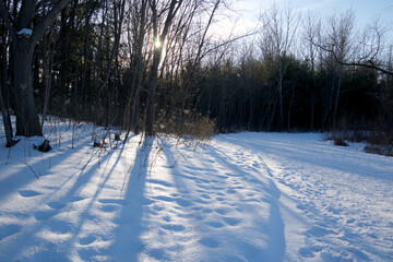 Winter landscape after a snow storm in winter