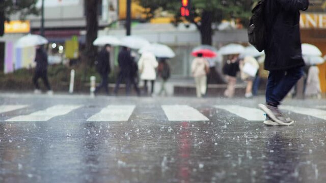 渋谷スクランブル交差点に降る激しい雨