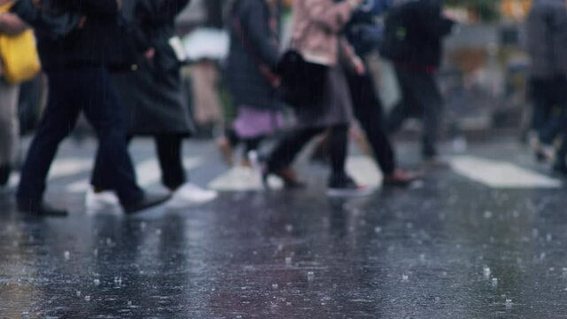 渋谷スクランブル交差点に降る激しい雨