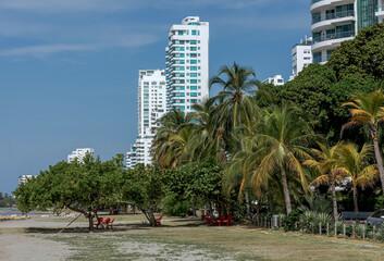 Obraz premium Beach with palm trees in the Castillogrande neighborhood of Cartagena. 