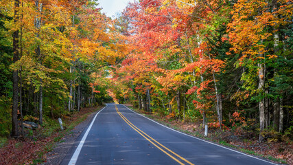 Autumn scenic drive through the tunnel of Trees of Michigan Upper Peninsula UP - Highway 41  M26