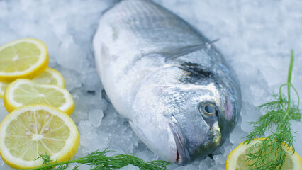 fresh sea bream on ice with lemon slice