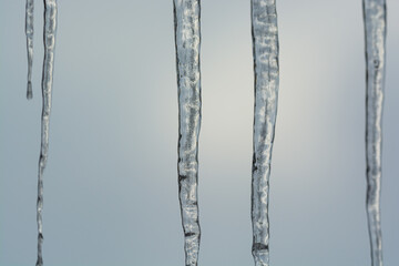 Detail of icicles in the daylight