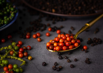 selective focus,red pepper in golden spoon on dark background,with black pepper background