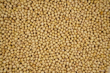 Closeup of ripe organic soybeans texture background, top view, healthy nutritious food