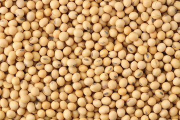 Close up soybeans background top view using for your advertising