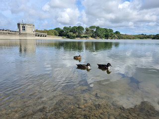 Guernsey Channel Islands, St Saviours Reservoir,