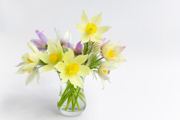 Bouquet of spring flowers. Beautiful and delicate snowdrops in a vase on a white background. Spring awakening symbol.