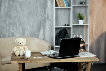 A teenager's workplace, a desk with a laptop and a teddy bear, a bookcase in the background, a place to copy text