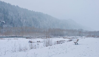 snow day at the river
