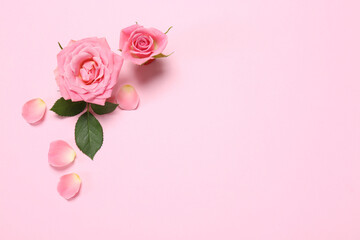 Fototapeta na wymiar Beautiful floral composition with flowers on pink background, flat lay. Space for text