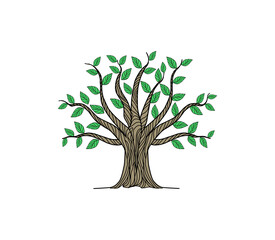 Baum der Lebensvektorillustration mit Handzeichnungsart © Kareemov