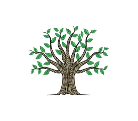 Baum der Lebensvektorillustration mit Handzeichnungsart © Kareemov