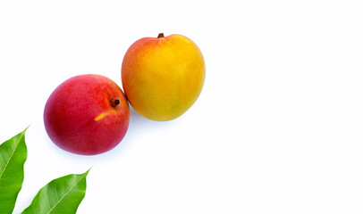 Tropical fruit, Mango  on white background.
