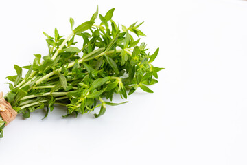 Fresh paddy rice herb on white background.