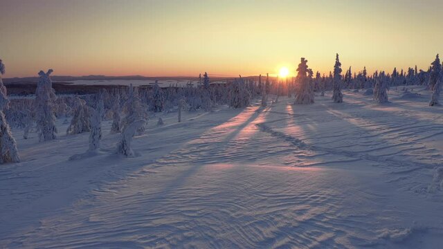 Sunset through snow covered forest hill of Riisitunturi National Park, Lapland, Finland, aerial drone shot