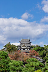 晴天の国宝松江城　島根県松江市