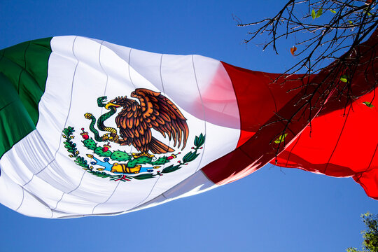 Bandera De Mexico Images – Browse 352 Stock Photos, Vectors, and Video | Stock
