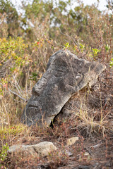 Sculptures sur pierre sur la route du Páramo de Ocetá, Monguí, Colombie