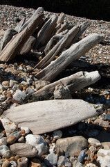 sea weathered groynes on pebble beach isle of wight