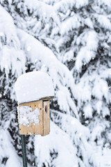Yellow birdhouse in a forest during snowfall