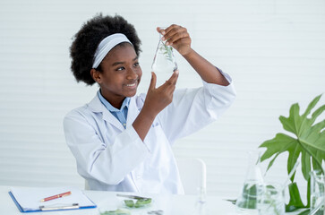 African American young girl hold and look to glass flask containing piece of plant inside and also...