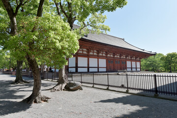 新緑の東寺　講堂　京都市