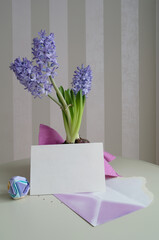 mockup of a postcard and a lilac envelope on a background of blooming hyacinths, copy space
